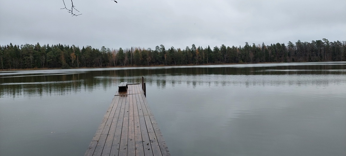 🌿 Kevadpüha loodusretk Valgejärve matkarajal – rabavaikus, järv ja vaated - Image 3